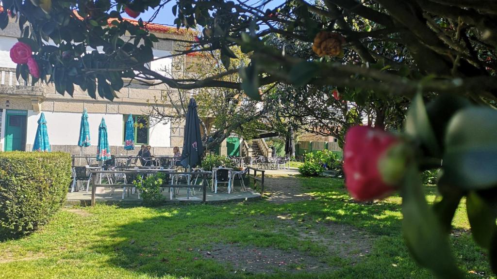 Jardín en la parte trasera de Lobishome
