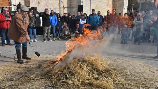 Valdestillas vuelve a oler a gastronomía, folclore y tradición: la matanza del cerdo será siempre eterna
