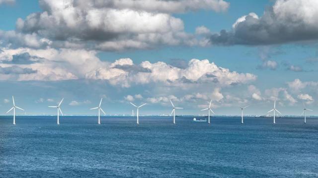 La eólica marina, una de las áreas más avanzadas de la innovación en economía azul. Foto: PIXABAY.